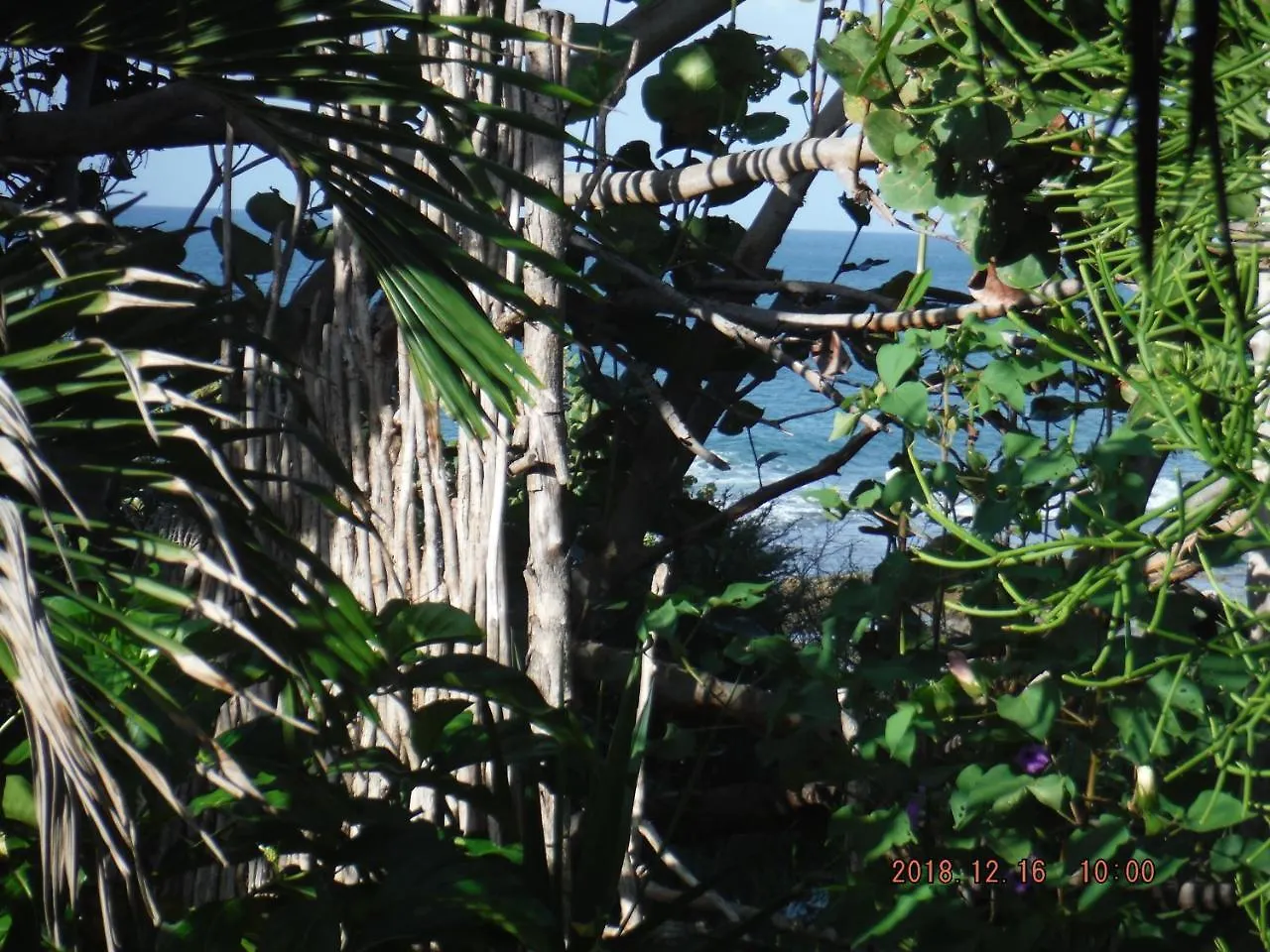 Guest house Kudehya Guesthouse Treasure Beach